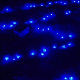 イルミネーションの画像