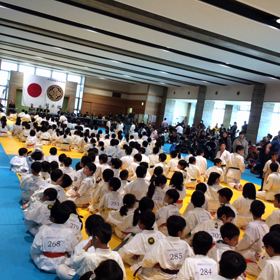 第7回オープントーナメント世界交流空手道選手権大会の画像