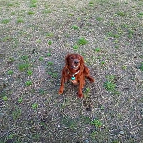 回転レシーブ（ちょっと微妙）の画像