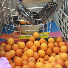 どれにしようかなぁの画像