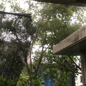 台風17号風強いですね。の画像