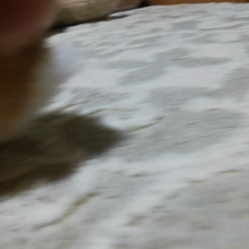 お尻に１粒｡:+((*´艸`))+:｡の画像
