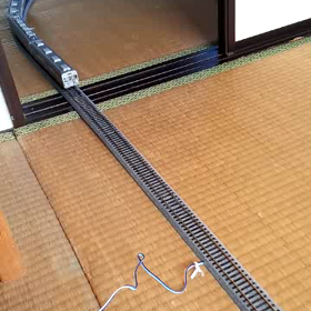 12月25日のおうし座は4位の画像