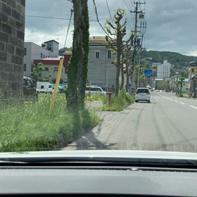 はんそで〜しょんの画像