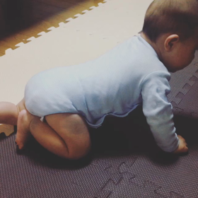 【動画】たーたんハイハイはじめの一歩✍の画像