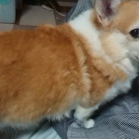 八つ当たり！の画像