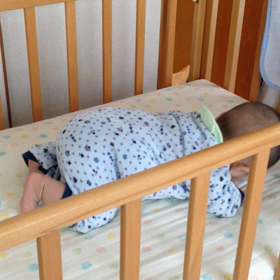 ずり這いの画像