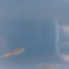 朝から元気にZanTubeの画像