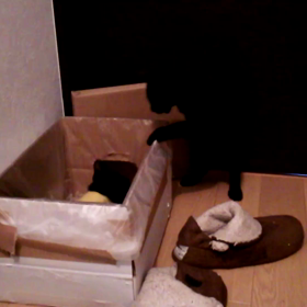 さっきの結末…の画像