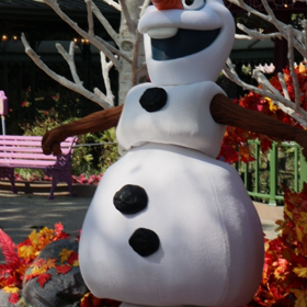 HKDLグリが終わったオラフは、の画像