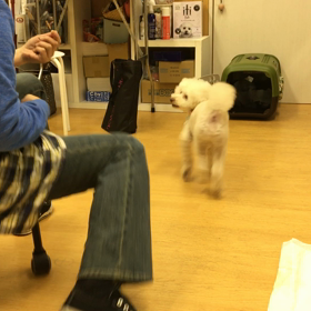 ソナ編。の画像