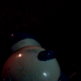 己斐中第二公園の画像