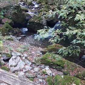 それから神庭の滝への画像