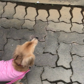 三連休最終日の画 像