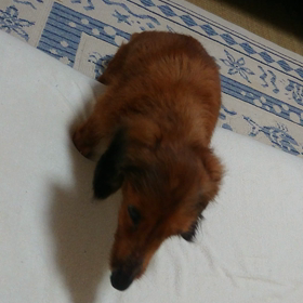 登れたよの画像