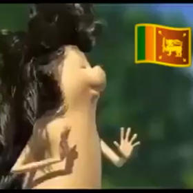 なにこれ(°▽°)？   スリランカ動画の画像