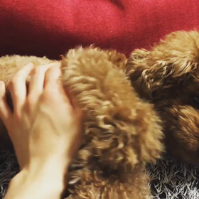 キーくん♡Instagramの画像