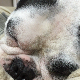 生意気にの画像