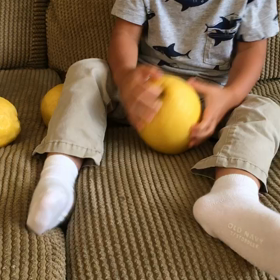 息子と私の秋クラスとレモン。の画像