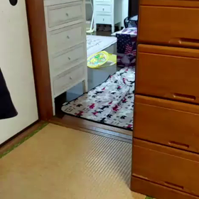 [コピー]おとなしくなってきたけどの画像