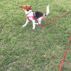 今日はイオンモールへ〜〜の画像