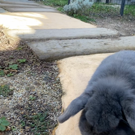 今日はいい天気！の画像