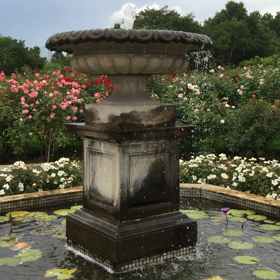 水の音で、タイムスリップしてしまった！の画像