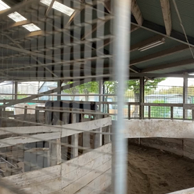 ケンシロウひたすら歩くの画像