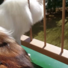 暖かいよ！の画像