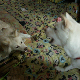 ぐるぐる回る回るの画像