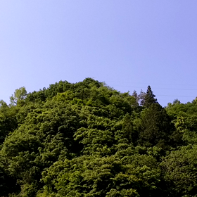 うぐいすの画像