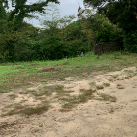 くまスポの画像