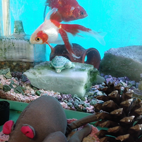 久しぶりのご対面の画像