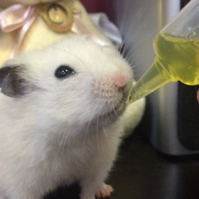 水分補給の画像