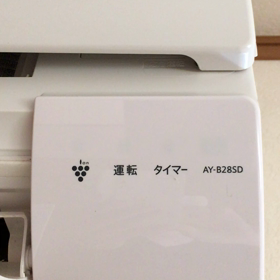 緑色のカメムシを見ました。の画像