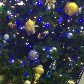 「星の駅、此処から。」の画像