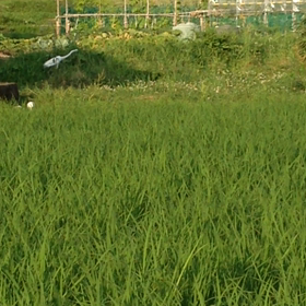 おいし〜いもの あるかな？の画像