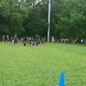 ダッシュ(白・その他グループ)③の画像