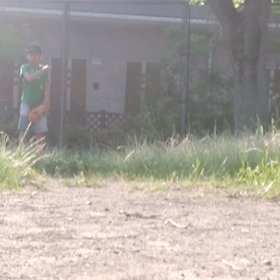 花は咲かずともの画像