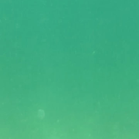 海だよかあさんPART2の画像