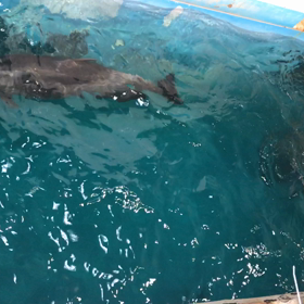 良い習慣の維持の画像