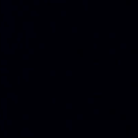 みあれ祭の画像