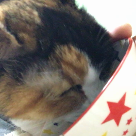 少しずつ…の画像