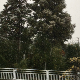 結構すごくなって来たの画像