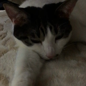 まったり。の画像