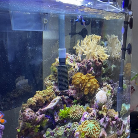 波乗りテグリの画像