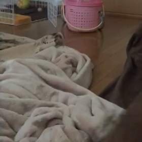 くうちゃん(*^o^*)の画像