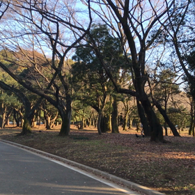 ♪お散歩動画♪代々木公園♪の画像