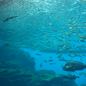 頭が痛い   37.5℃  気分転換の画像