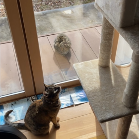 ローカルニュースの画像